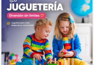 Jugueteria